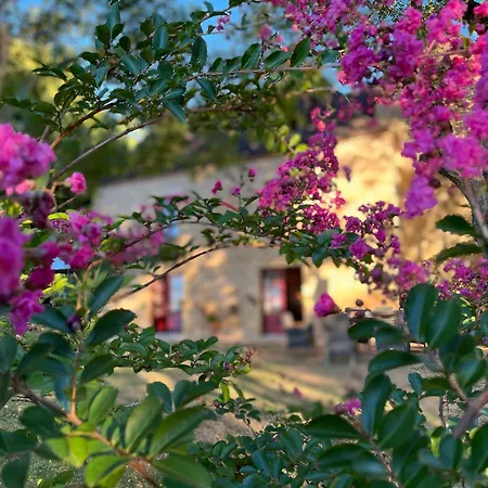 Bed & Breakfast Roquebrune