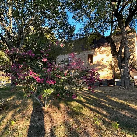 Bed & Breakfast Roquebrune